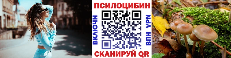 Псилоцибиновые грибы мицелий  Гай 